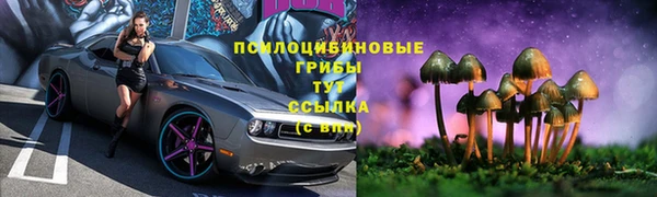 соль курить ск Вязьма