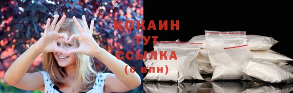 гидра Новодвинск