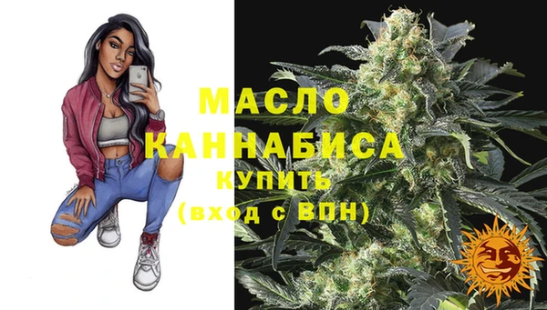 гидра Новодвинск