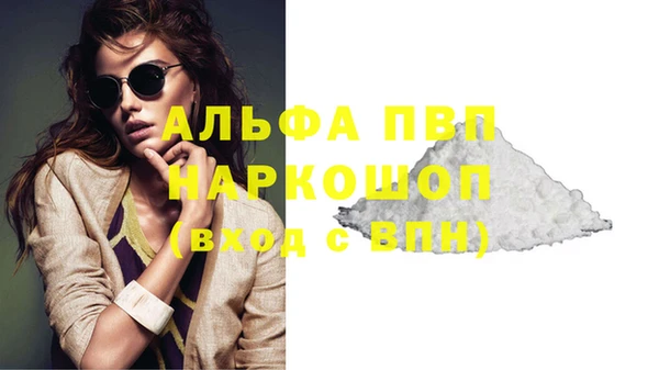 гидра Новодвинск