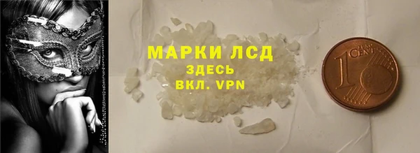 гидра Новодвинск