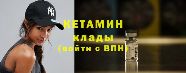 гидра Новодвинск