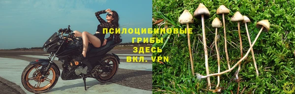 бутират Нефтегорск
